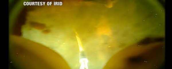 Melted nuclear core at Fukushima finally discovered by robot after 6 years