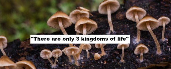 7 'facts' you learned at school that are no longer true