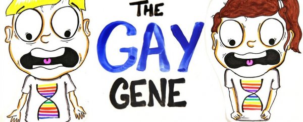 WATCH: What does science actually say about whether there's a gay gene?
