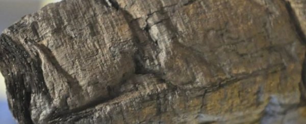 We can now read papyrus scrolls buried by lava in 79 AD