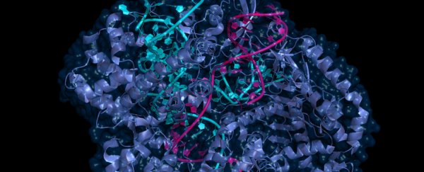 Chinese scientists just admitted to tweaking the genes of human embryos
