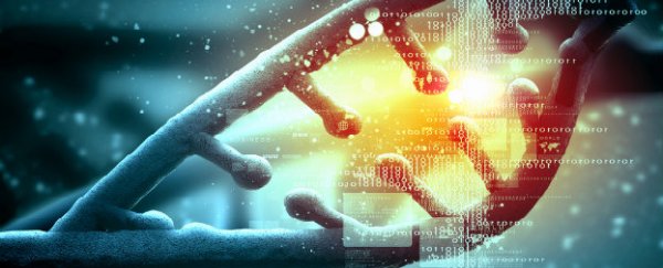 Newly explored regions of the human genome reveal fundamental processes of life