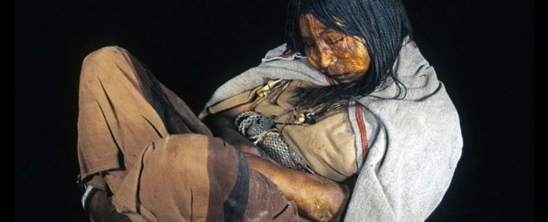 Girl mummy reveals how early American lineages were wiped out by European migration