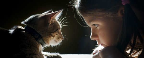Any kind of pet can strengthen the social skills of a child with autism