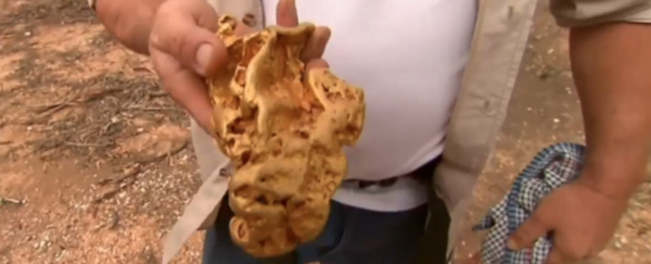 Australian man unearths 2.7 kg gold nugget worth $135k