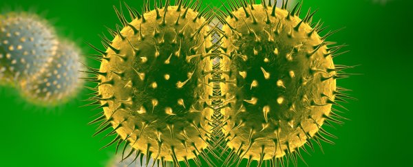 Untreatable Antibiotic-Resistant Strains of Gonorrhoea are Going Global