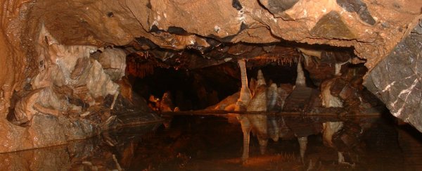 People ate each other in this cave - and we still don’t know why