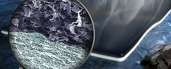 This cheap material can purify dirty water and make it safe to drink