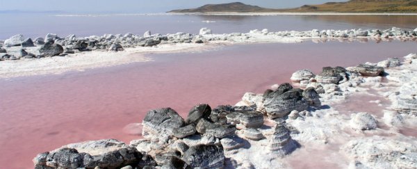Huge amounts of mercury have vanished from Utah's Great Salt Lake