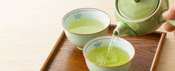 Green tea compound found to kill oral cancer cells