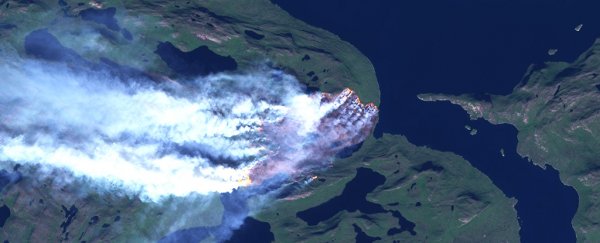 An unprecedented fire is raging across Greenland right now