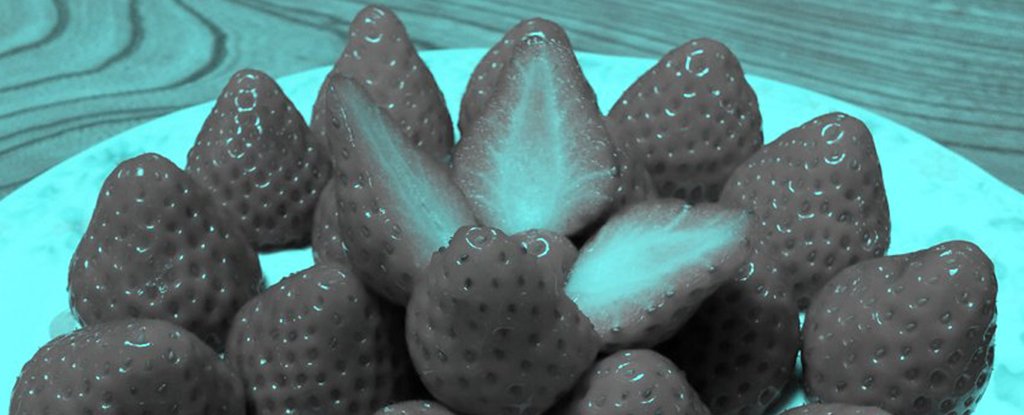 (image of a photo of strawberries with all of the red pixels replaced with gray ones.)