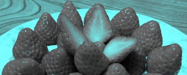 Don't believe your eyes - this picture of strawberries isn't red