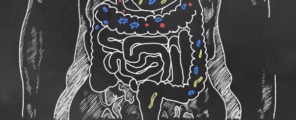 Bacteria could be responsible for shifts in brain structure in people with IBS