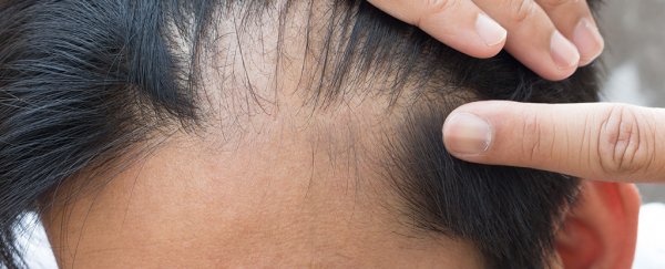 We now have the first evidence that immune cells in the skin directly trigger hair growth