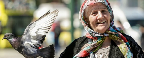 Don't fear growing old: elderly people are happier than ever, says survey