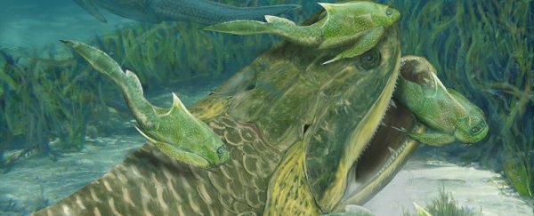 A strange fossil just changed what we know about animals evolving to walk on land