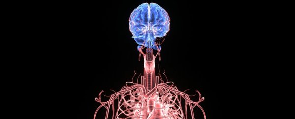 Scientists think they have another reason humans became smarter than our ancestors - blood