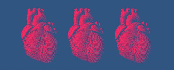 One day we could actually regenerate human hearts, says new study