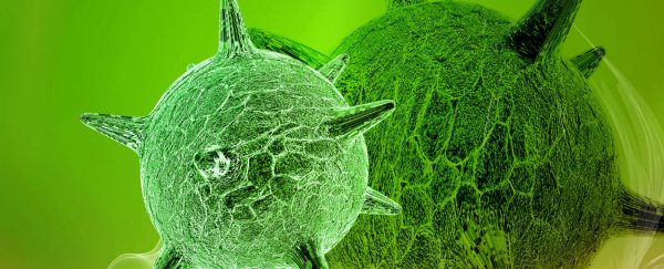Drug based on herpes successfully treats skin cancer patients