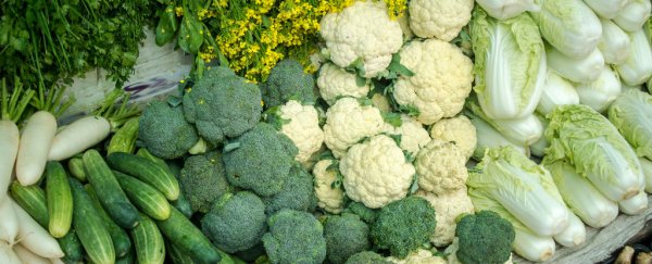 Low-fibre diets could mess up your gut microbes, and it could be heritable