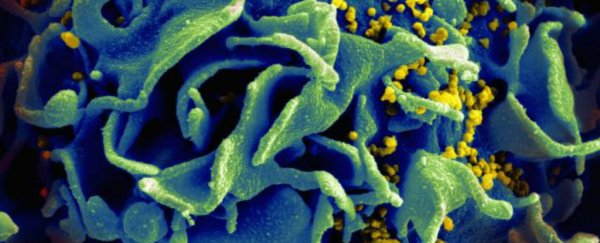 Scientists have removed HIV from human immune cells using a new gene-editing technique