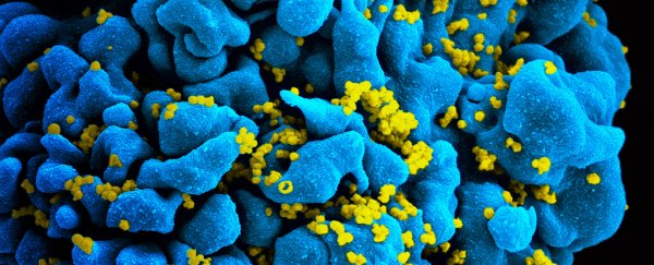 A new treatment appears to have erased HIV from a patient’s blood