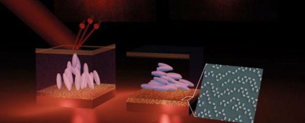 This new type of display could finally give us real-time holograms
