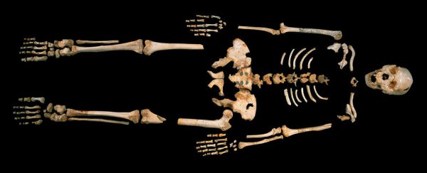 The oldest human genome ever has been sequenced, and it could rewrite our history