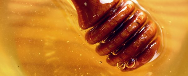 Is manuka honey really a 'superfood' for treating colds, allergies and infections?