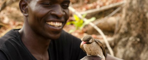 Scientists document wild birds 'talking' with humans for the first time