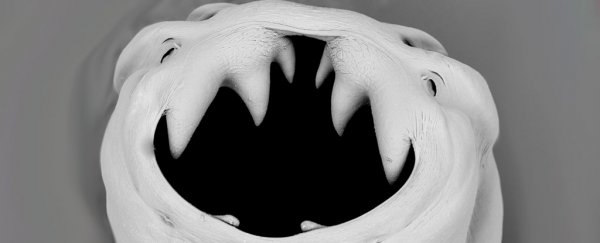 40 patients are about to be infected with hookworms to treat gluten intolerance
