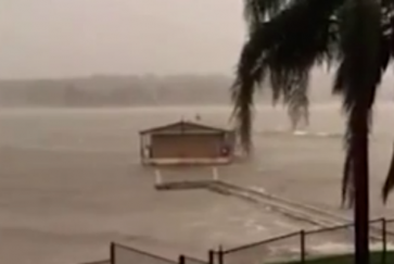 Sydney’s gale-force winds meet tropical cyclone criteria, experts say