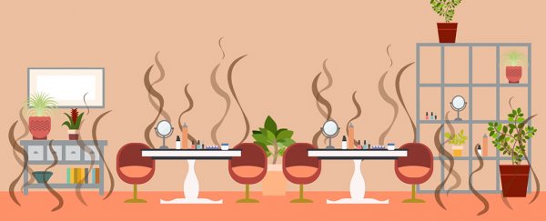 These are the best houseplants to improve indoor air quality, study finds