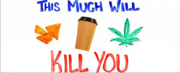 Watch: Here's how much chocolate can kill you