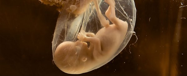 For the first time ever, scientists have found a safe way to deliver medicine to the placenta