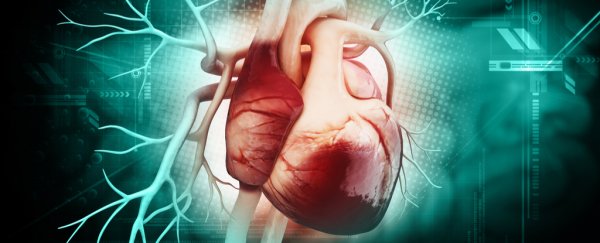 We're another step closer to growing replacement body organs