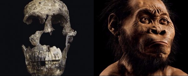 Humanity's strange new cousin could transform our understanding of human evolution
