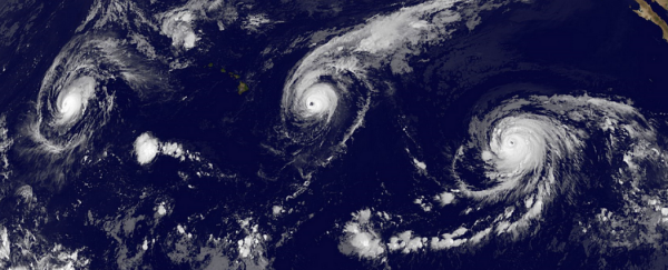 Three Category 4 hurricanes have just hit the Pacific Ocean at the same time