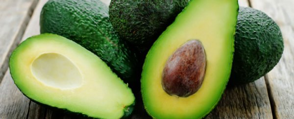 WATCH: Here's why avocados shouldn't exist