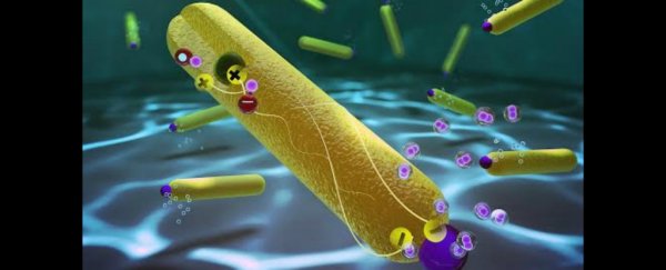 Scientists perform key step in the water-splitting reaction with 100 percent efficiency