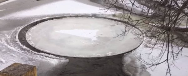 WATCH: This crazy spinning ice disc just appeared in a Michigan river