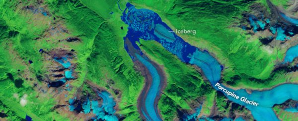 The largest iceberg in decades broke free from a North American glacier - and no one noticed