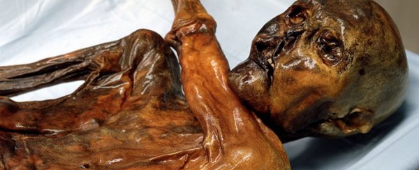Ötzi the Iceman had way more tattoos than you
