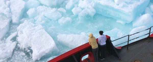Several Massive Viruses Could be 'Re-awakened' if the Arctic Permafrost Continues to Thaw