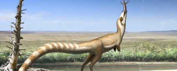 This feathered dinosaur had an amazing raccoon-like bandit mask