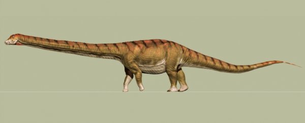 Which dinosaur is the biggest? There's a new contender - and it's alarmingly large