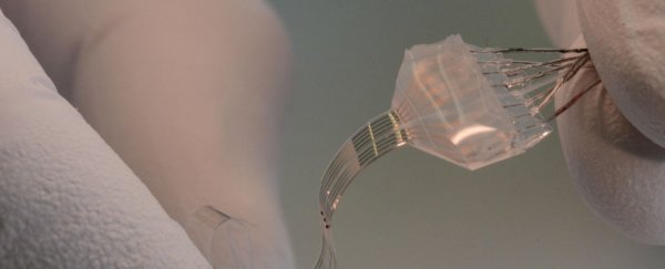 Flexible brain implant offers hope for paralysis