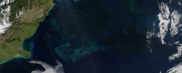 These plankton blooms mean the ocean is responding to climate change in a big way