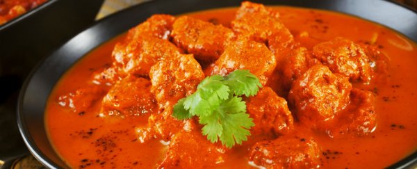 Scientists figure out why Indian cuisine tastes so amazing